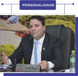 Andre Luis Nezzi de Carvalho